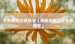 手机视频怎样恢复（删除视频怎样恢复播放）