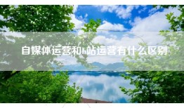 自媒体运营和b站运营有什么区别