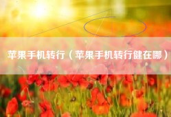 苹果手机转行（苹果手机转行健在哪）