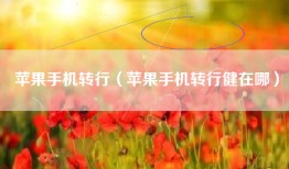 苹果手机转行（苹果手机转行健在哪）