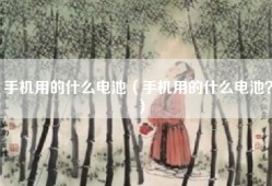 手机用的什么电池（手机用的什么电池？）
