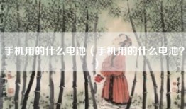 手机用的什么电池（手机用的什么电池？）
