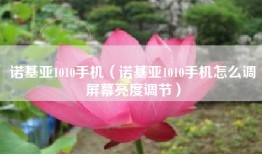 诺基亚1010手机（诺基亚1010手机怎么调屏幕亮度调节）