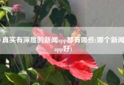 真实有深度的新闻app都有哪些(哪个新闻app好)