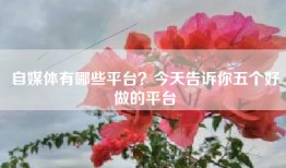 自媒体有哪些平台？今天告诉你五个好做的平台