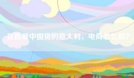 在酷爱中国货的意大利，电商怎么做？