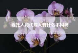 委托人和代理人有什么不同吗