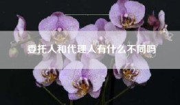 委托人和代理人有什么不同吗