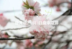 卧龙地产4月3日盘中涨停