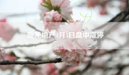 卧龙地产4月3日盘中涨停