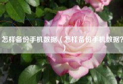 怎样备份手机数据（怎样备份手机数据？）