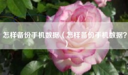 怎样备份手机数据（怎样备份手机数据？）