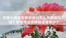 百度小店珠宝翡翠类目怎么申请报白入驻？百度珠宝类保证金是多少？