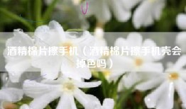 酒精棉片擦手机（酒精棉片擦手机壳会掉色吗）