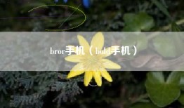 bror手机（bold手机）