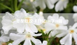 冬至吃饺子日记100字10篇