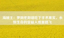 海贼王：罗阴差阳错吃下手术果实，永恒生命的受益人或是路飞