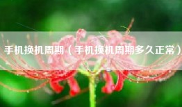 手机换机周期（手机换机周期多久正常）