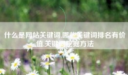什么是网站关键词,哪些关键词排名有价值,关键词挖掘方法