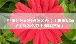 手机重启忘记密码怎么办（手机重启忘记密码怎么办不删除数据）