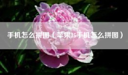手机怎么拼图（苹果15手机怎么拼图）
