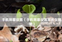 手机屏幕设置（手机屏幕设置常亮在哪里）