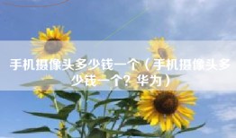 手机摄像头多少钱一个（手机摄像头多少钱一个？华为）