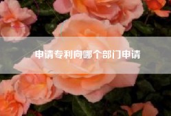 申请专利向哪个部门申请