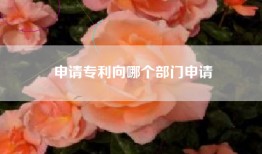 申请专利向哪个部门申请