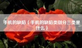 手机的缺陷（手机的缺陷类别分三类是什么）