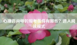 心理咨询师的报考条件有哪些？进入阅读模式