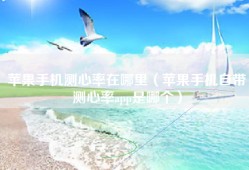 苹果手机测心率在哪里（苹果手机自带测心率app是哪个）