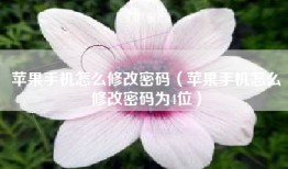 苹果手机怎么修改密码（苹果手机怎么修改密码为4位）