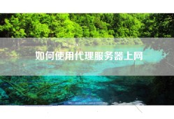 如何使用代理服务器上网