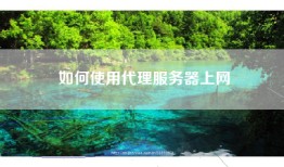 如何使用代理服务器上网