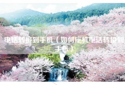 电话转接到手机（如何座机电话转接到手机）