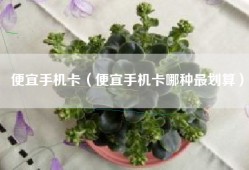 便宜手机卡（便宜手机卡哪种最划算）