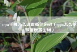 oppo手机怎么设置微信密码（oppo怎么给微信设置密码）