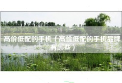 高价低配的手机（高价低配的手机品牌有哪些）
