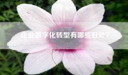 企业数字化转型有哪些好处？