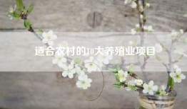 适合农村的10大养殖业项目