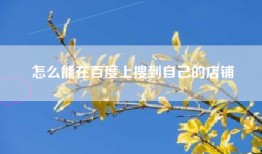 怎么能在百度上搜到自己的店铺