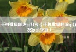 手机批量删除qq好友（手机批量删除qq好友怎么恢复）