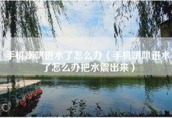 手机喇叭进水了怎么办（手机喇叭进水了怎么办把水震出来）