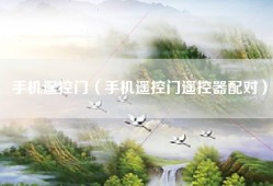 手机遥控门（手机遥控门遥控器配对）