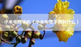 小米电竞手机（小米电竞手机叫什么）