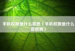 手机权限是什么意思（手机权限是什么意思啊）