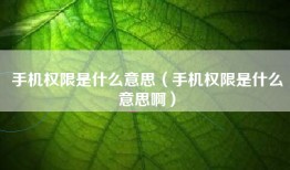 手机权限是什么意思（手机权限是什么意思啊）