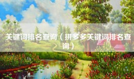 关键词排名查询（拼多多关键词排名查询）