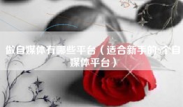 做自媒体有哪些平台（适合新手的6个自媒体平台）